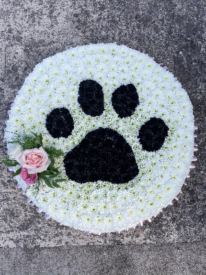 Paw Print