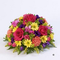 Classic Posy   Vibrant *