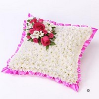 Classic White Cushion *