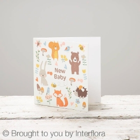 New Baby Greetings Card