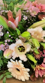 FLOWER BOX CHOICE
