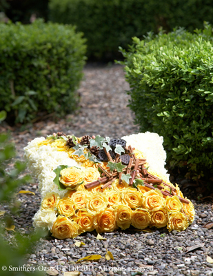 Yellow and White Cushion
