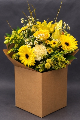 Lemon Meringue Handtied