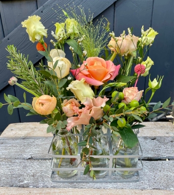 Peach Fuzz Milk Bottle Trio