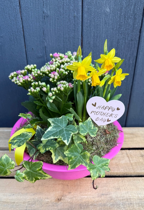 Washing Bowl Planter