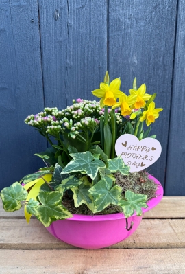 Washing Bowl Planter