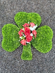 Shamrock