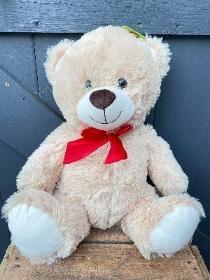 Valentine Bear   Wilf