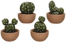 Faux Cacti