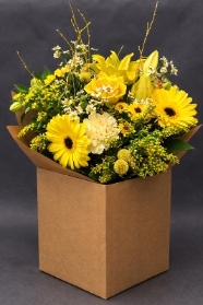 Lemon Meringue Handtied