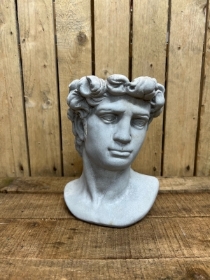 Male Bust
