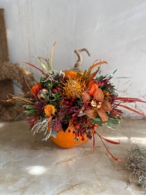 Pumpkin