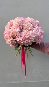 Simply Hydrangea