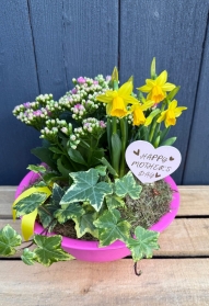 Washing Bowl Planter